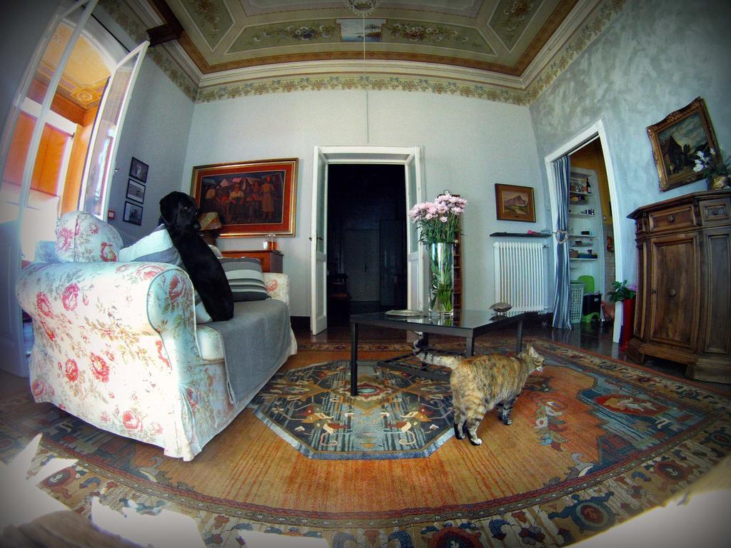 Bed and Breakfast L'Andirivieni Camogli Exterior foto